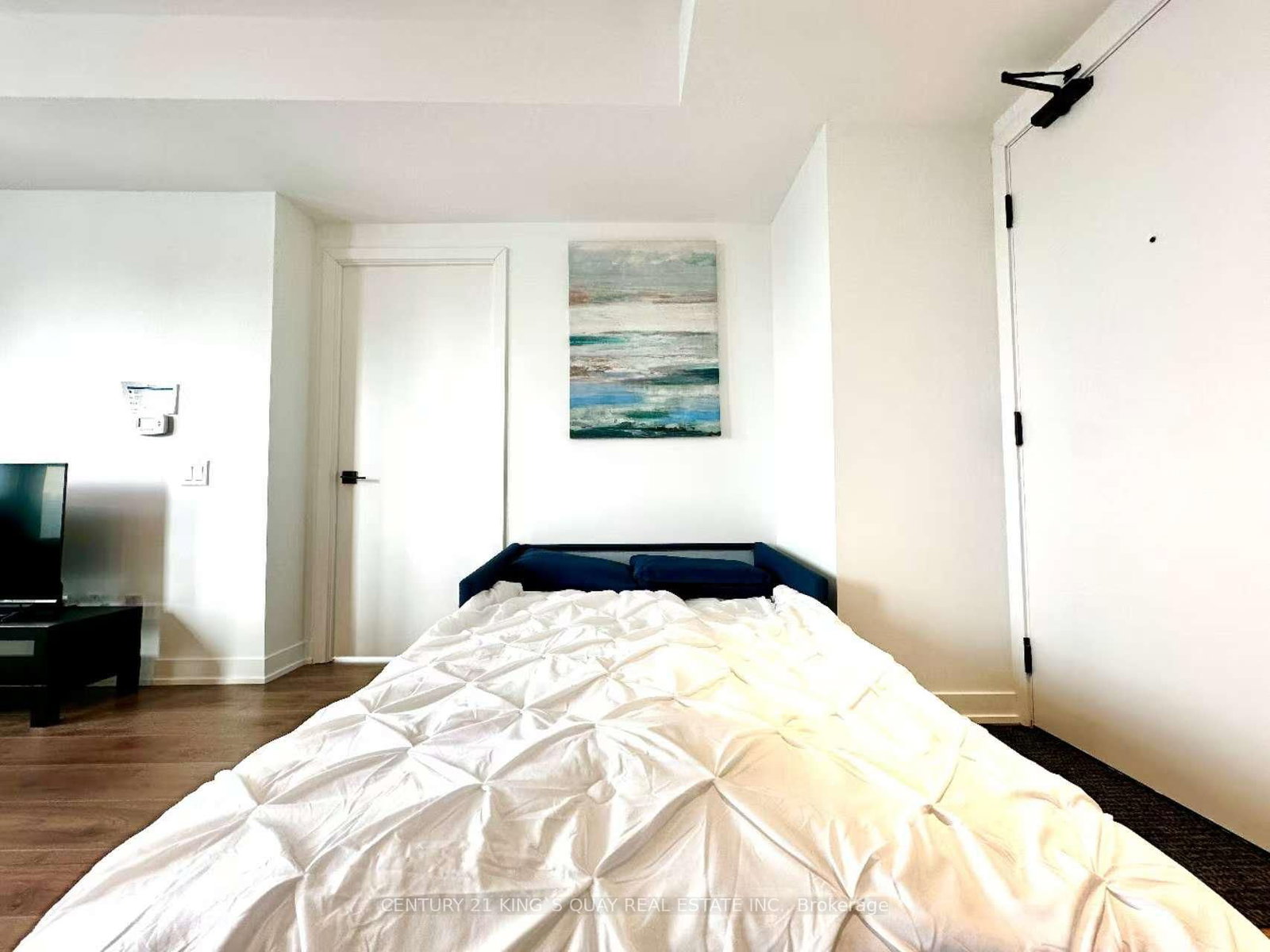 319 Jarvis Street, Unit 4805 - Photo 14