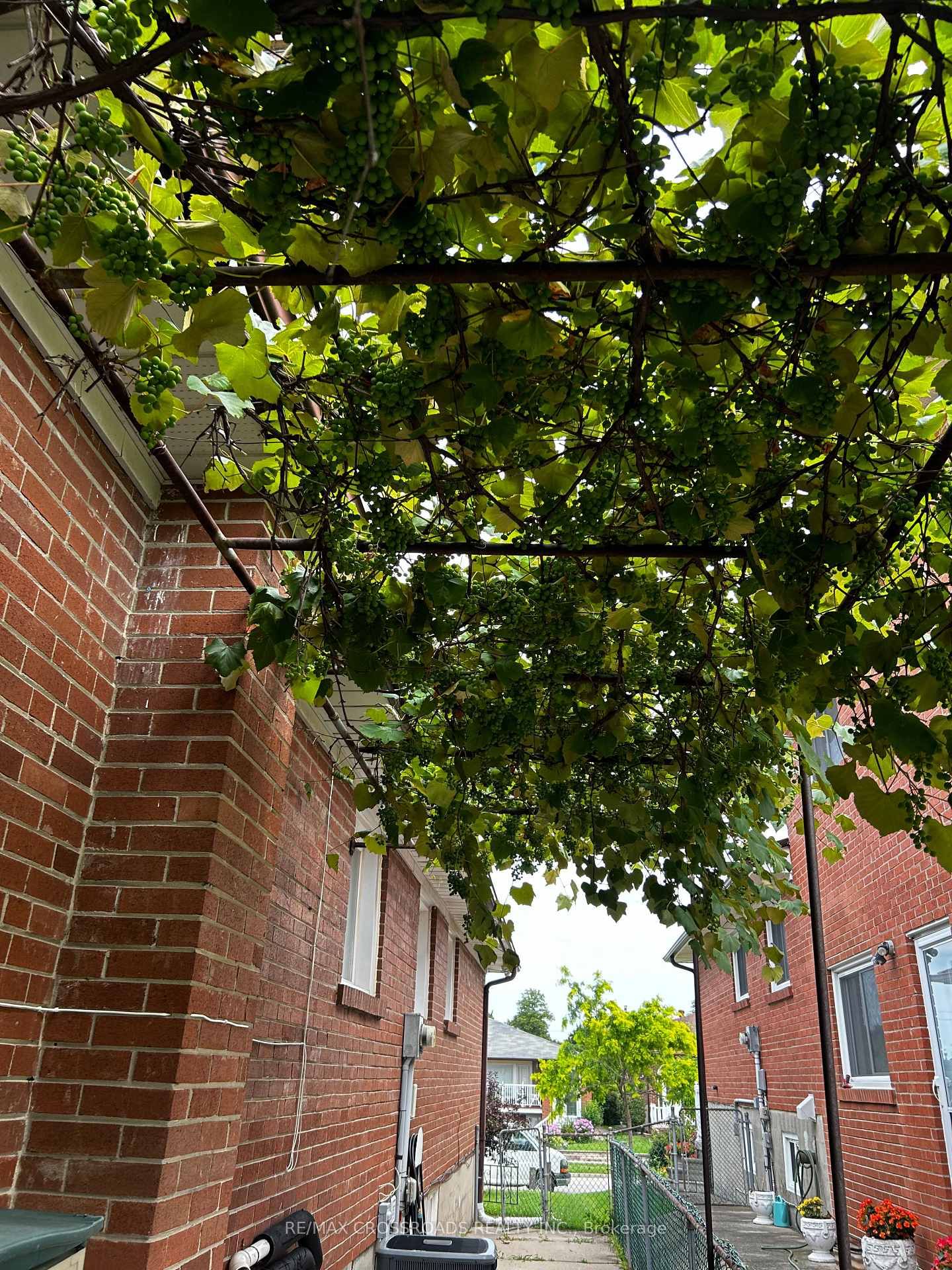 62 Navaho Drive, Unit Lower level - Photo 21