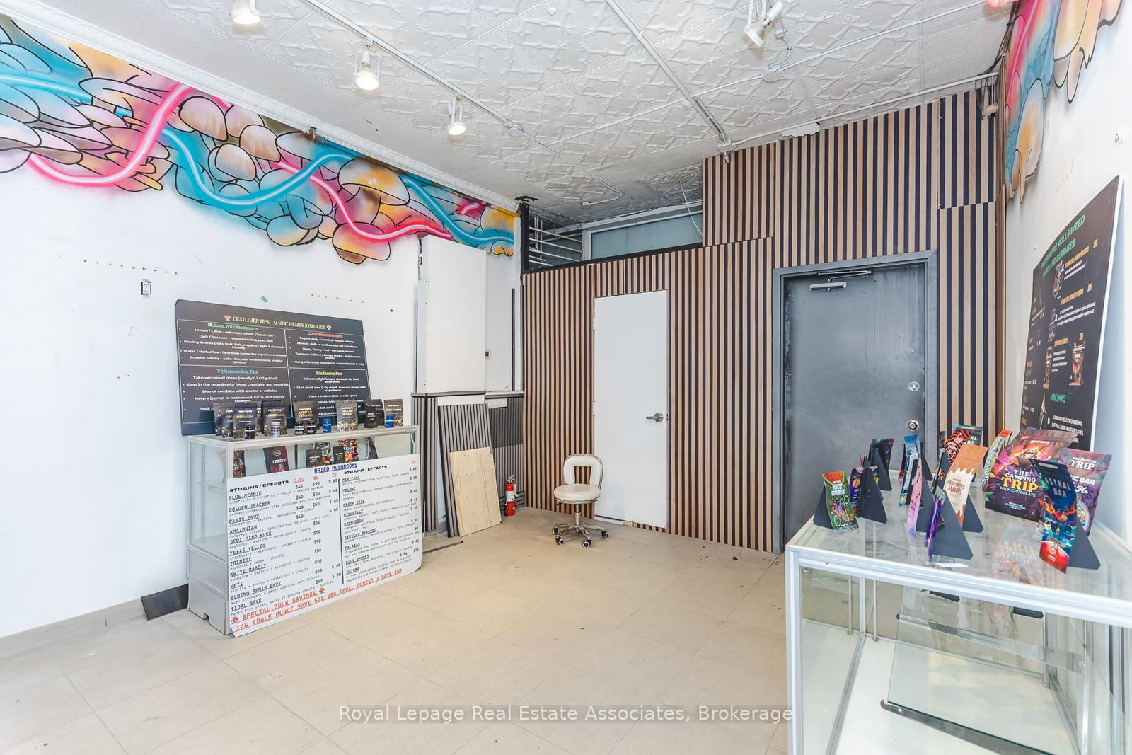 497 Bloor Street W, Unit Main - Photo 5