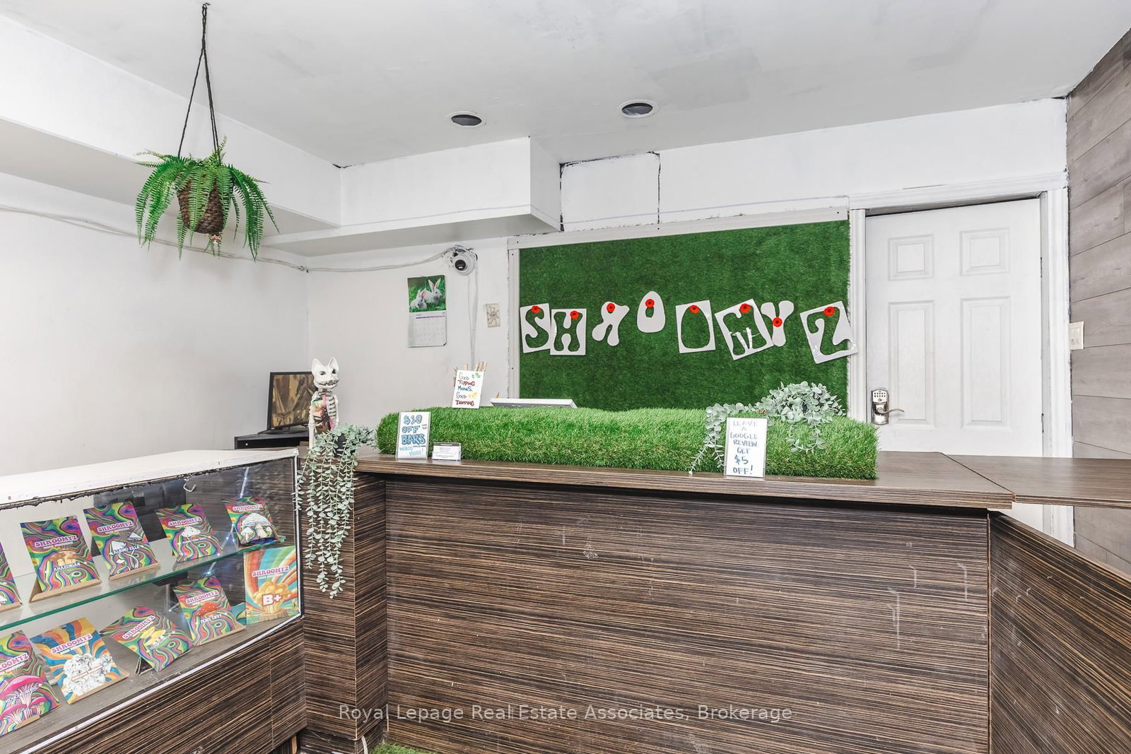 452 Queen Street W - Photo 6