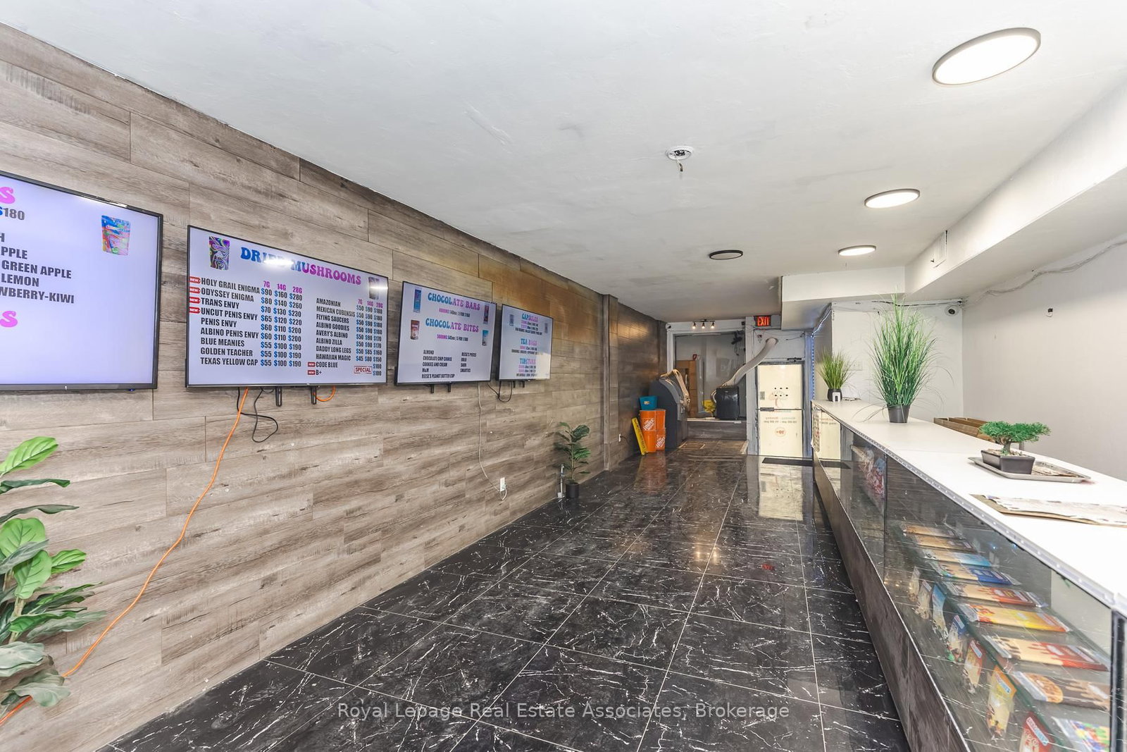 452 Queen Street W - Photo 8