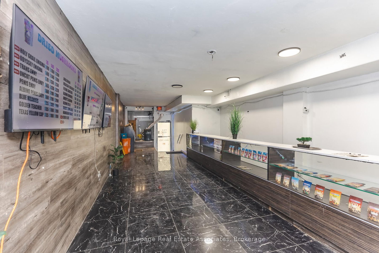 452 Queen Street W - Photo 9