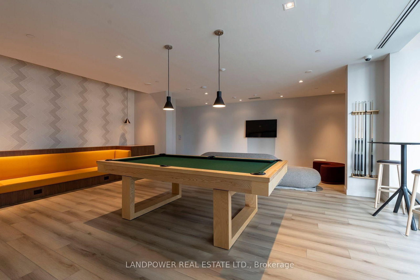 9 Tecumseth Street, Unit 313 - Photo 18