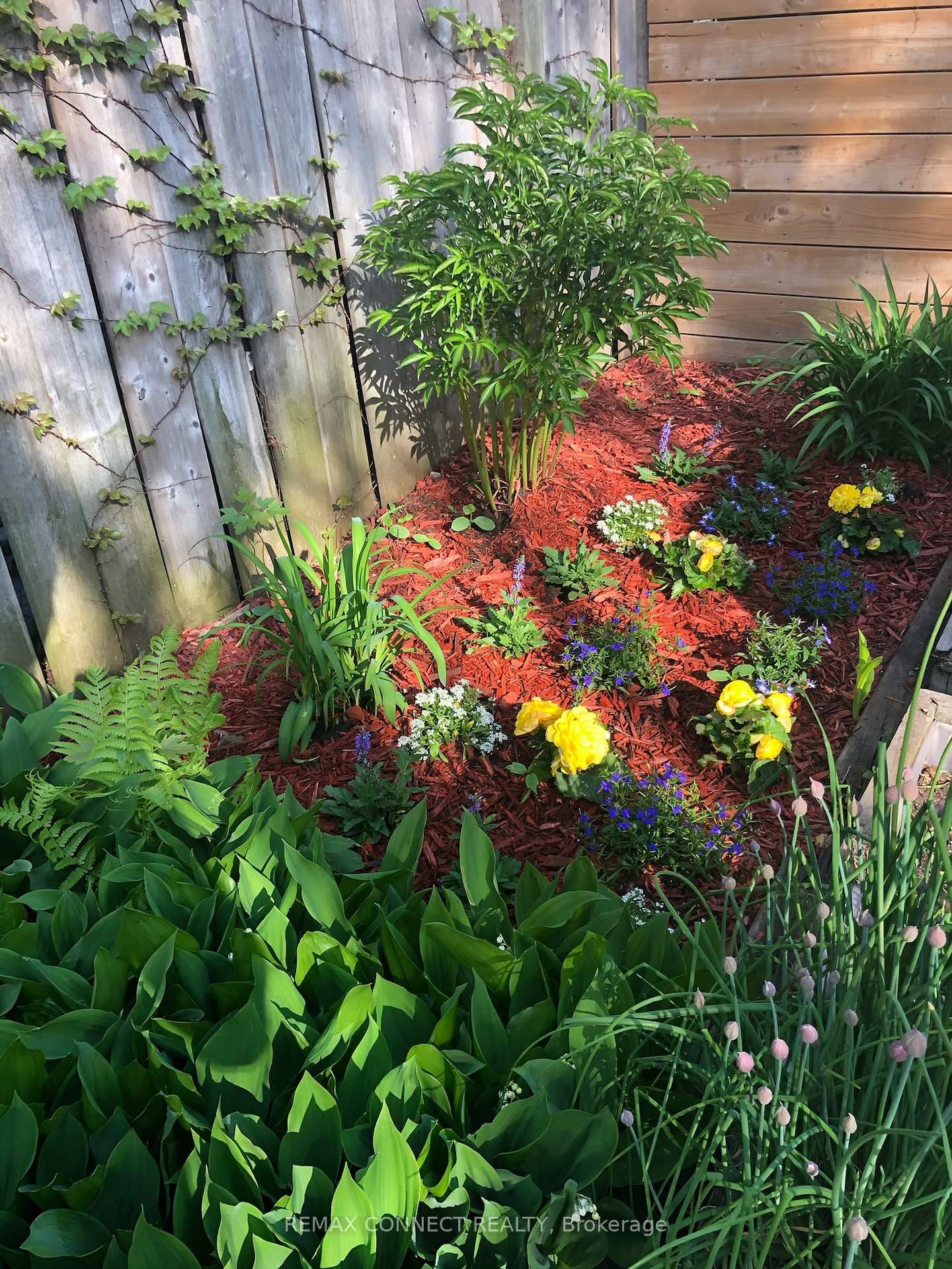 264 Sterling Road, Unit Basement - Photo 14