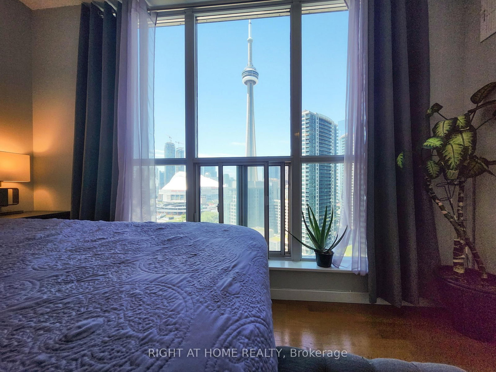 8 York Street, Unit 1912 - Photo 15