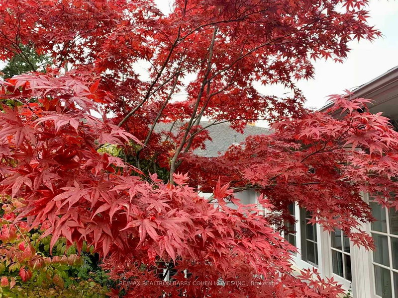 80 Bayview Rdge, Toronto, M2L 1E6 | Image 2