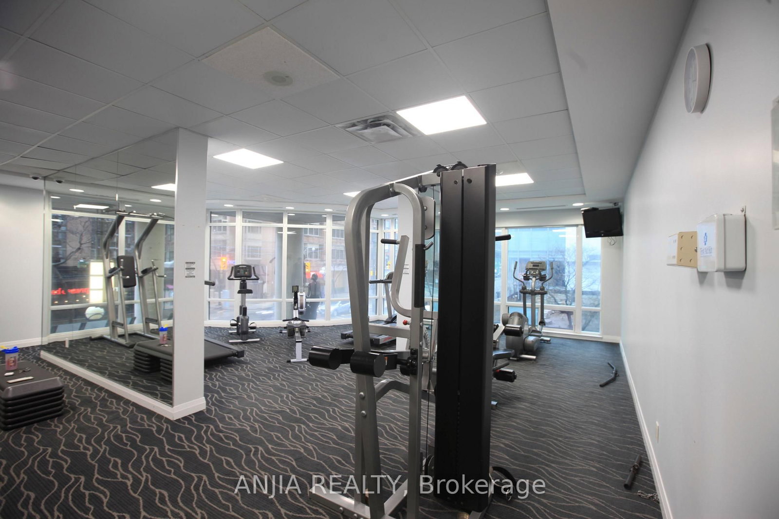 1121 Bay Street, Unit 805 - Photo 14