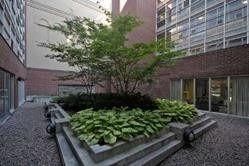 11 St. Joseph Street, Unit 210 - Photo 3