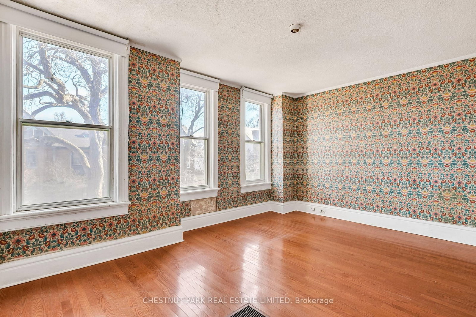 108 Amelia Street - Photo 32