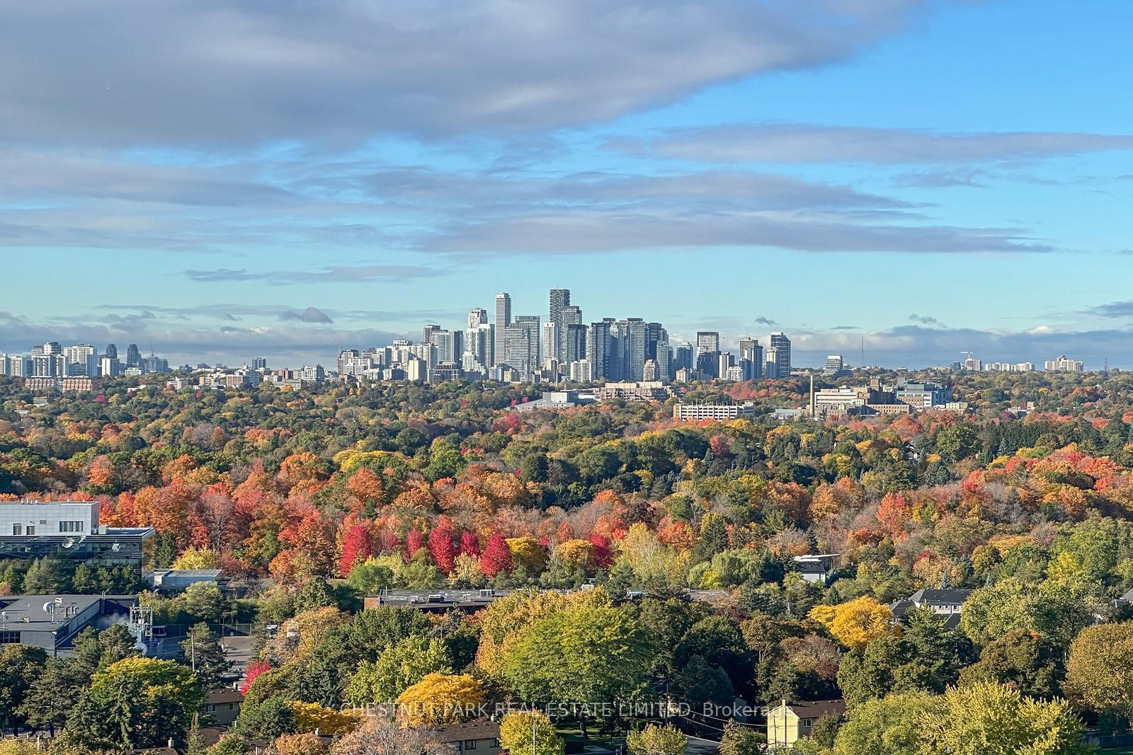 20 O'Neill Road, Unit 1522 - Photo 37