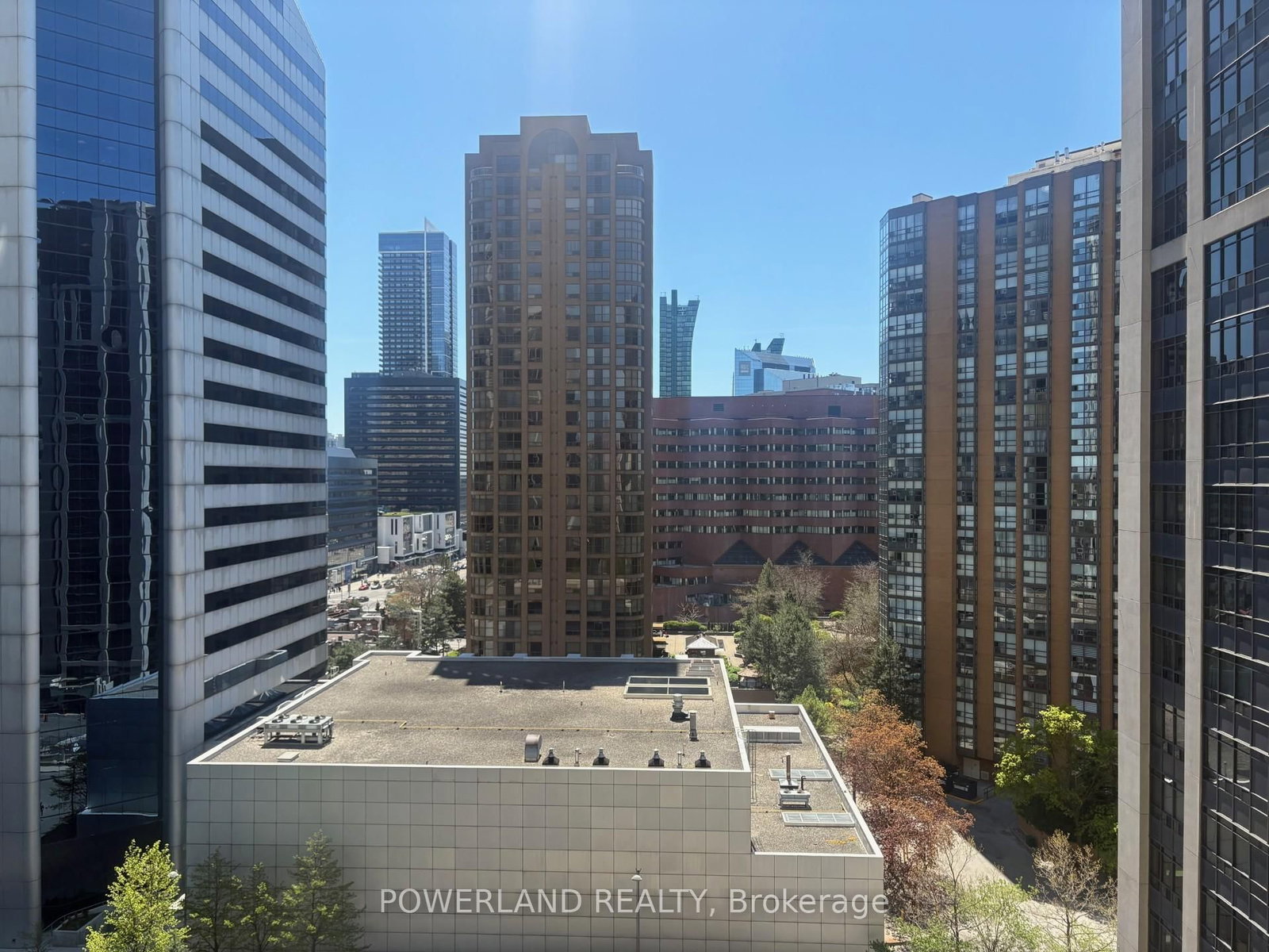 155 Beecroft Road, Unit 1516 - Photo 13