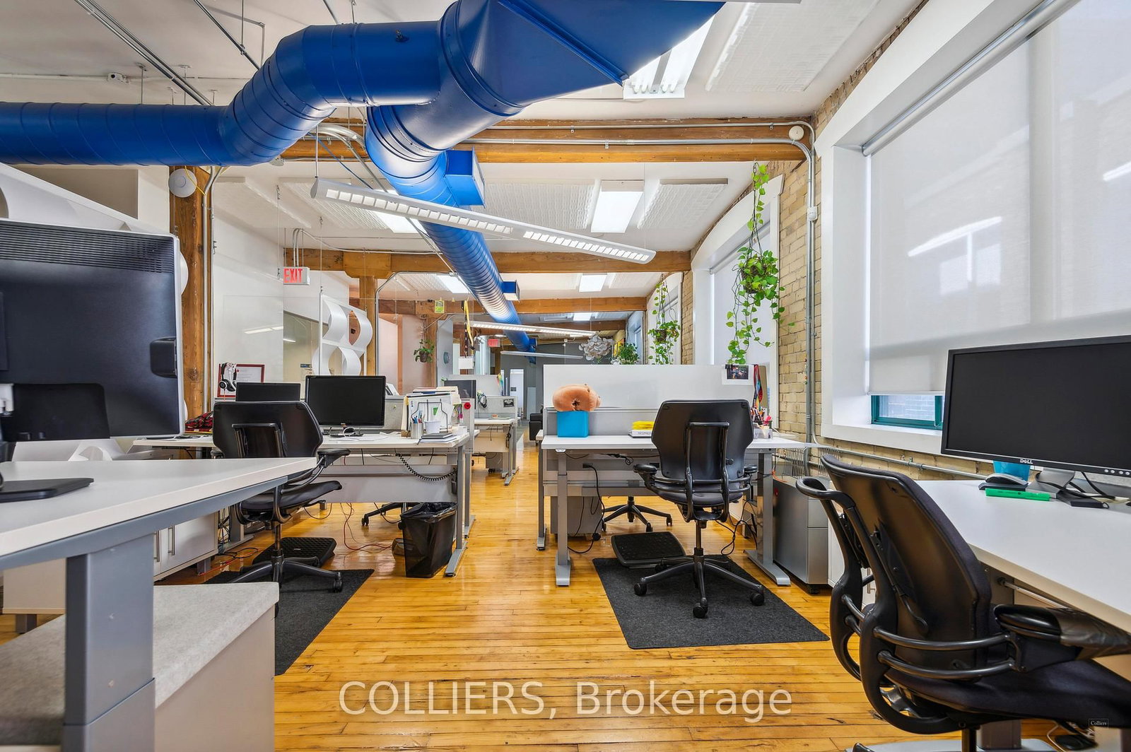 282 Richmond Street E, Unit 200-300 - Photo 5