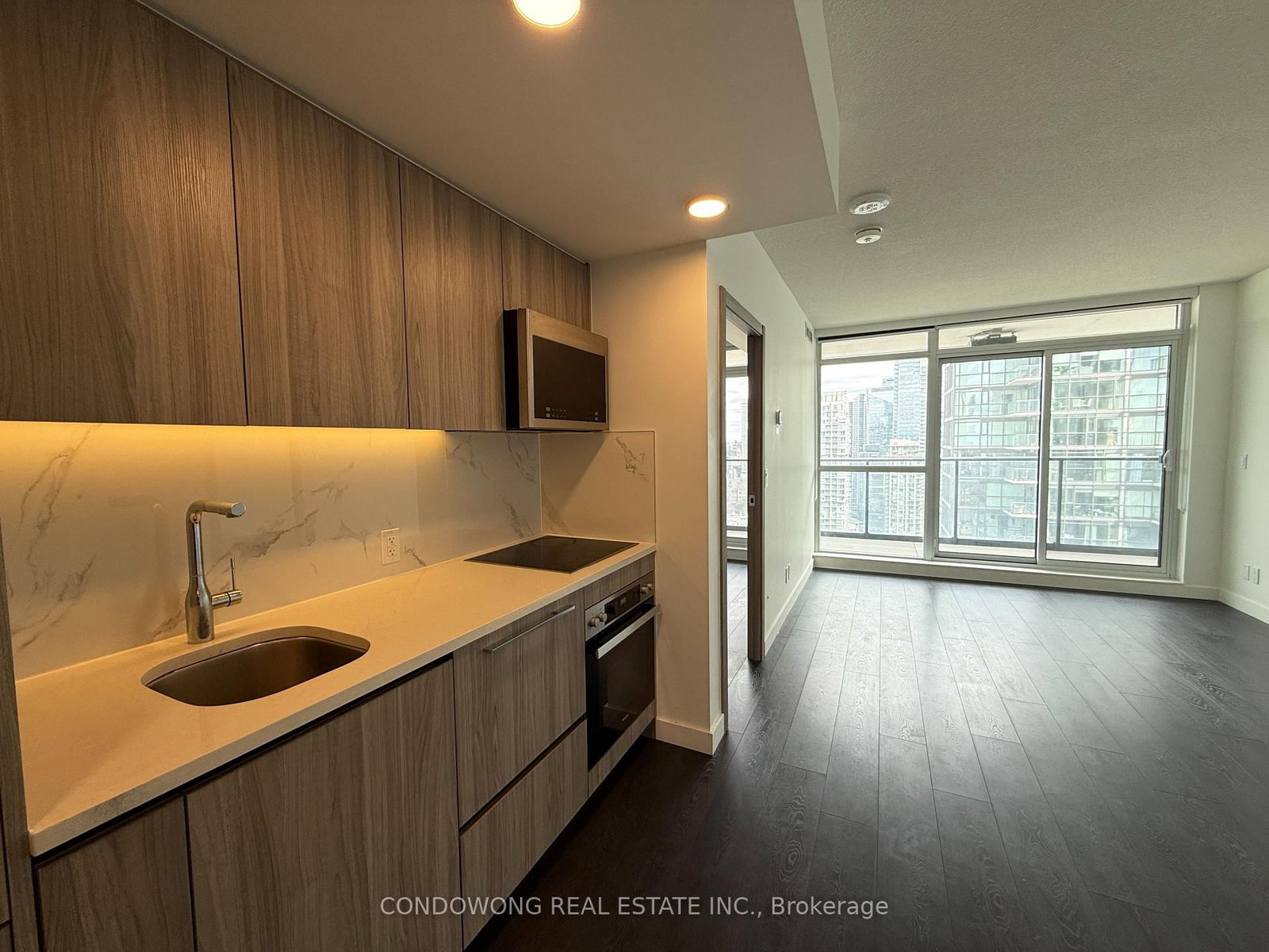 38 Widmer Street, Unit 4305