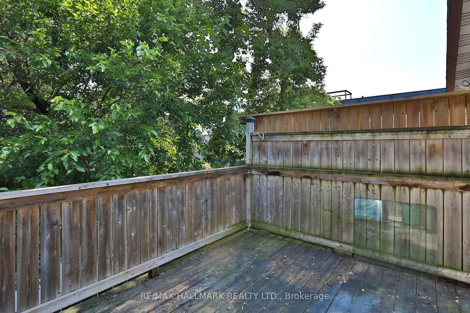 559 Parliament Street, Unit 1 - Photo 9