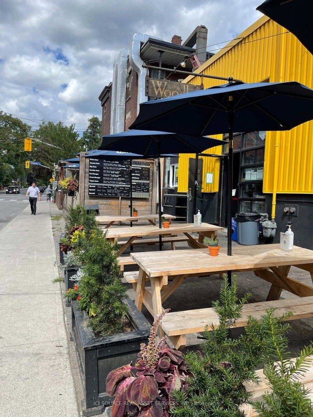 Lower - 287 Palmerston Avenue