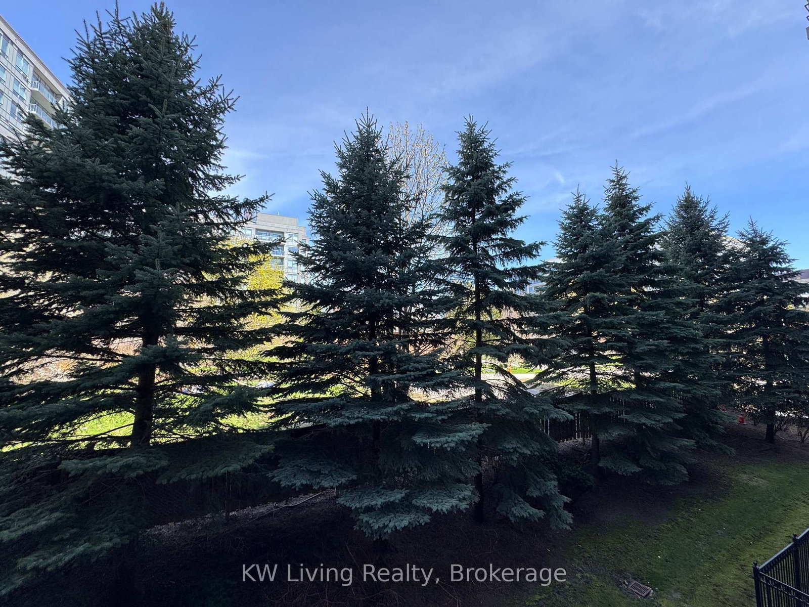 19 Barberry Place, Unit 204 - Photo 13