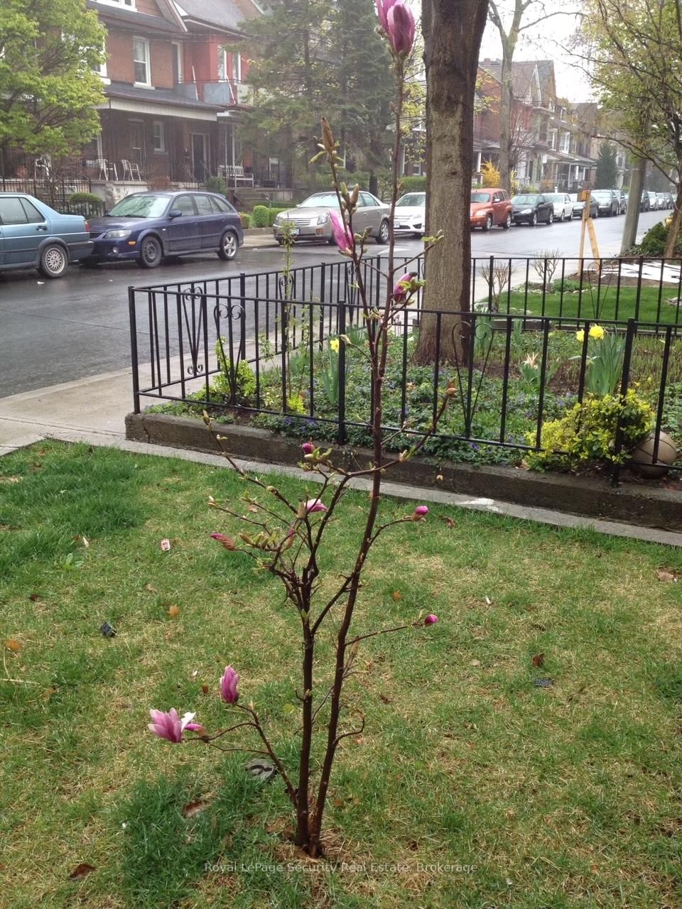 Image 19
