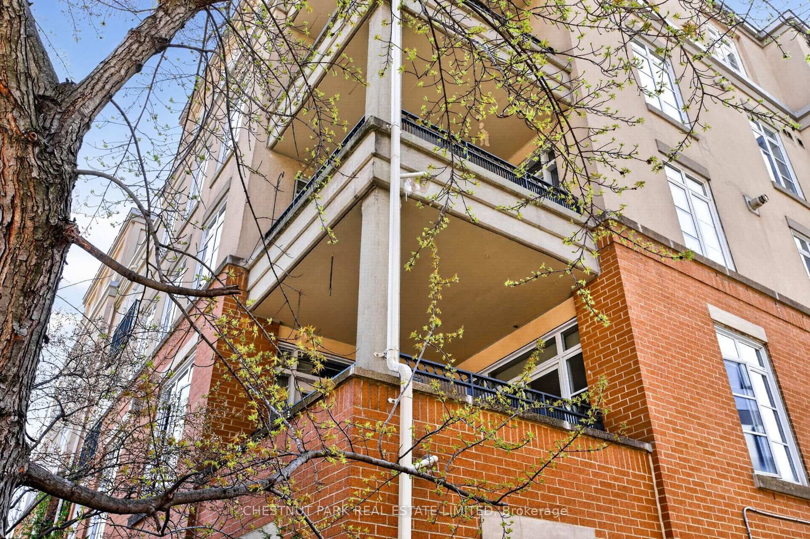 21 Shaftesbury Avenue • #203 • Toronto, ON photo 45