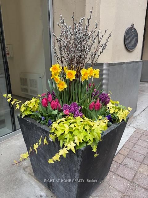 611 - 155 Dalhousie St, Toronto, M5B 2P7 | Image 2