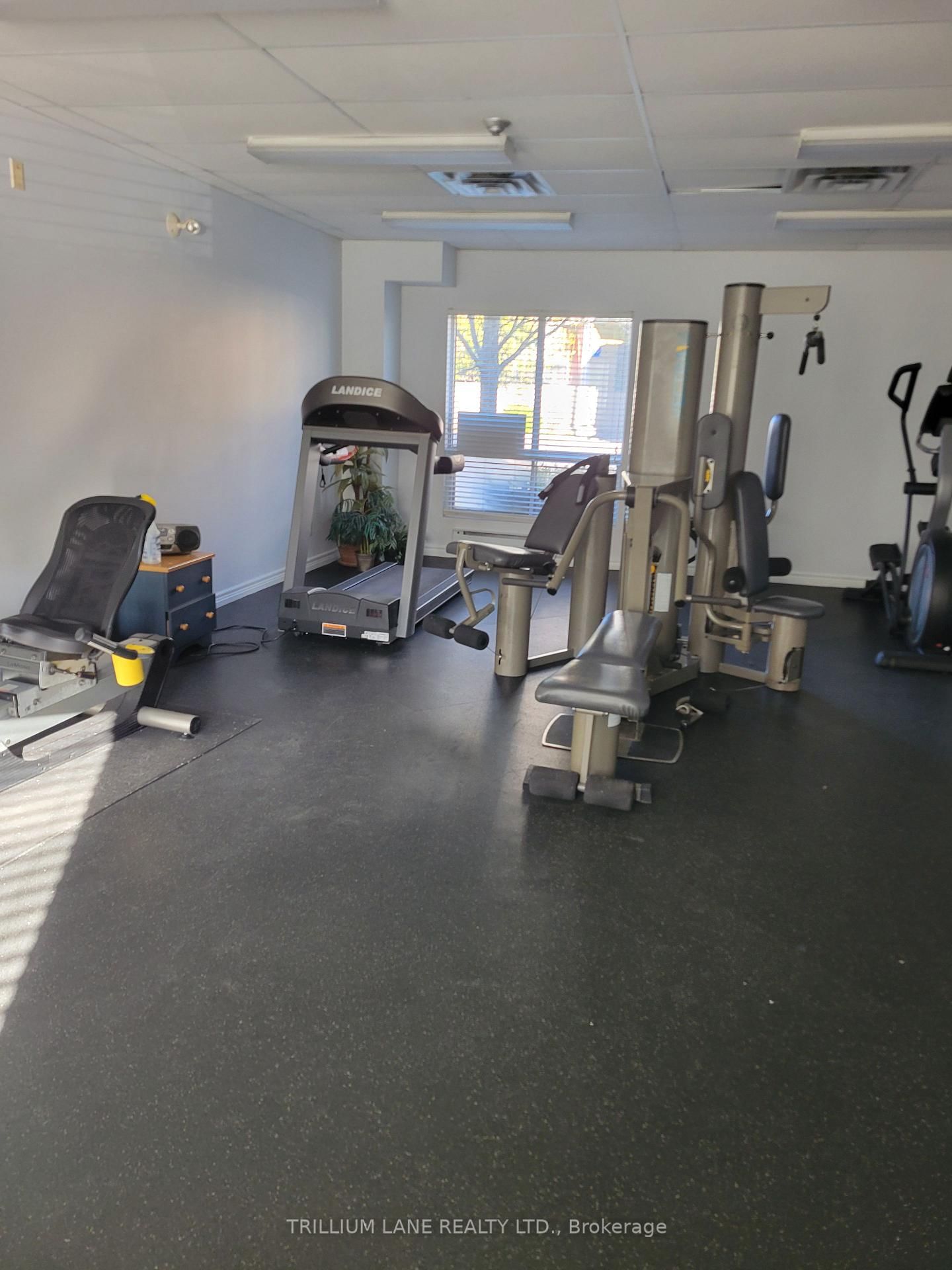 211 Randolph Road, Unit 203 - Photo 13