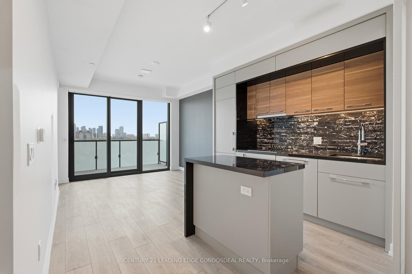 29 Green Trail Court, Unit 1802 - Photo 17