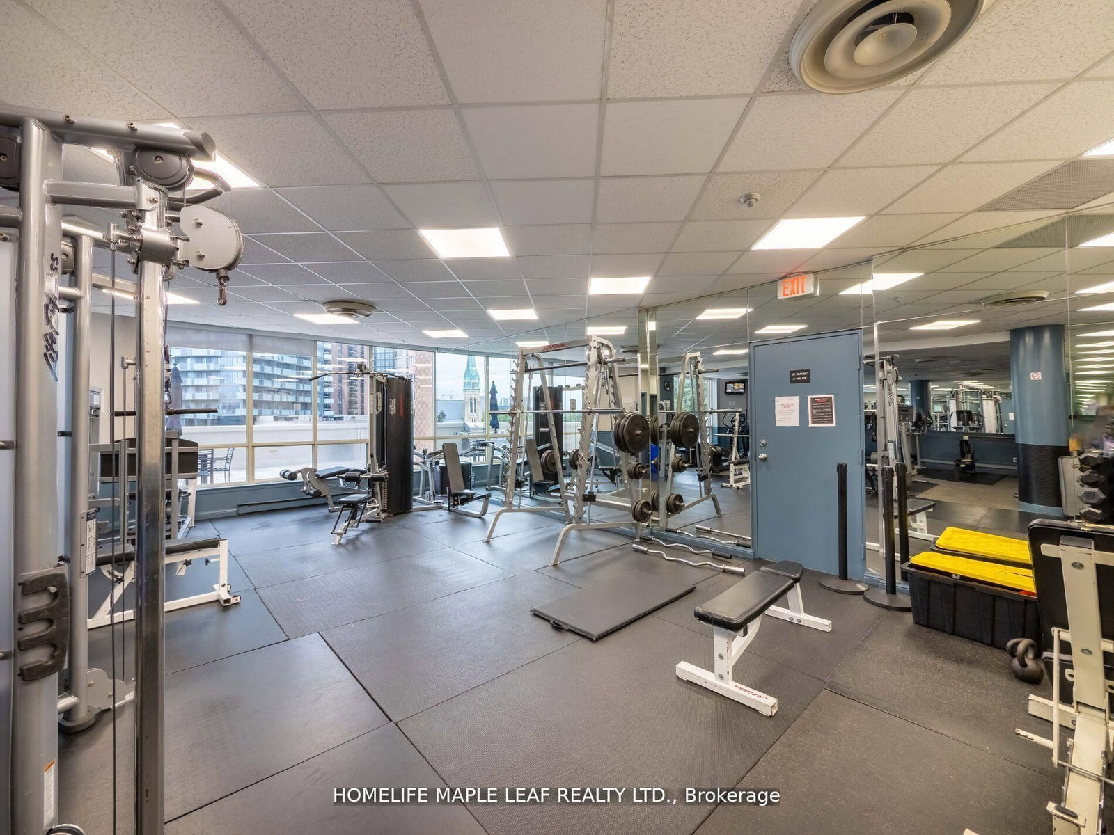 1033 Bay Street, Unit 219 - Photo 34