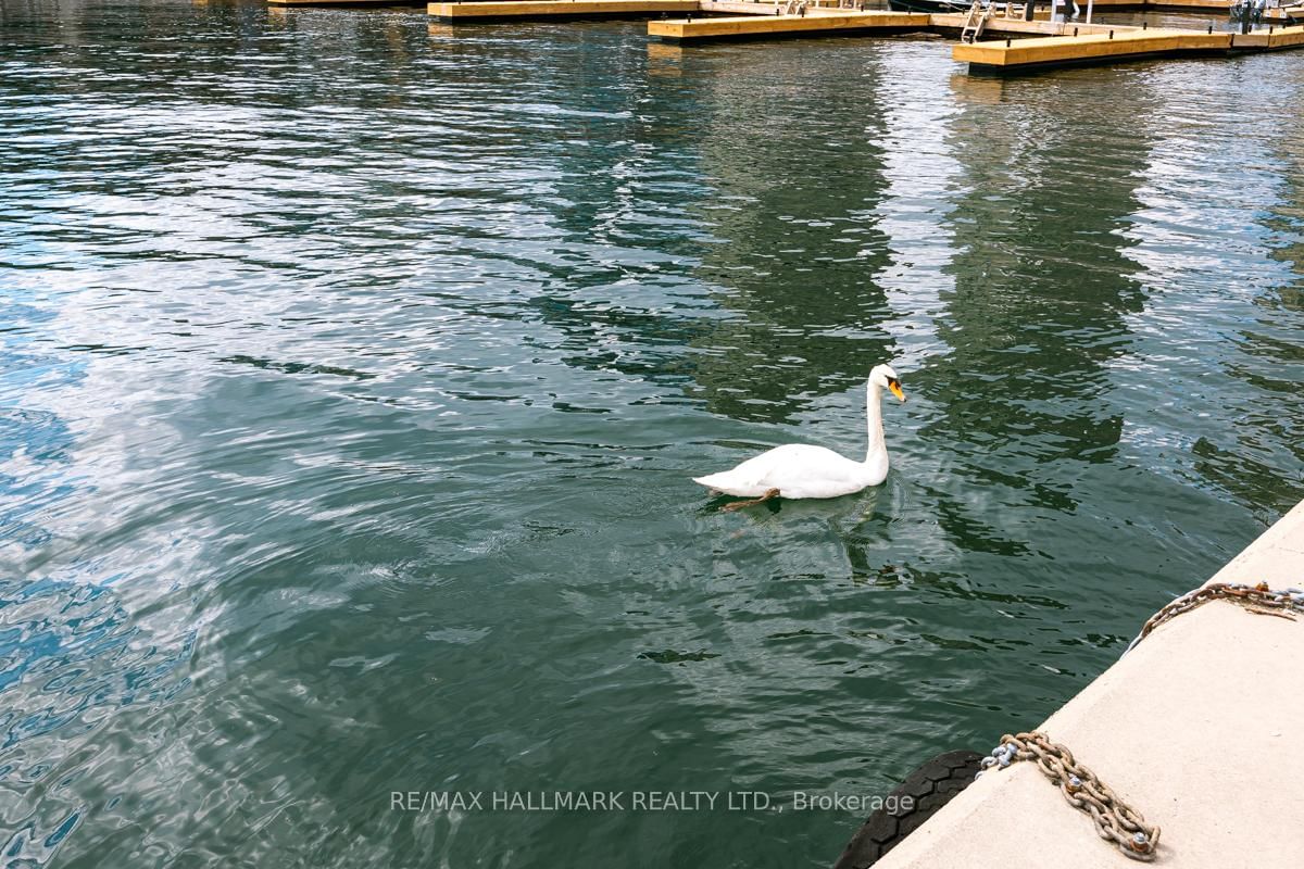 228 Queens Quay W, Unit 2707 - Photo 33