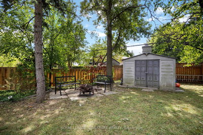Thumbnail 33