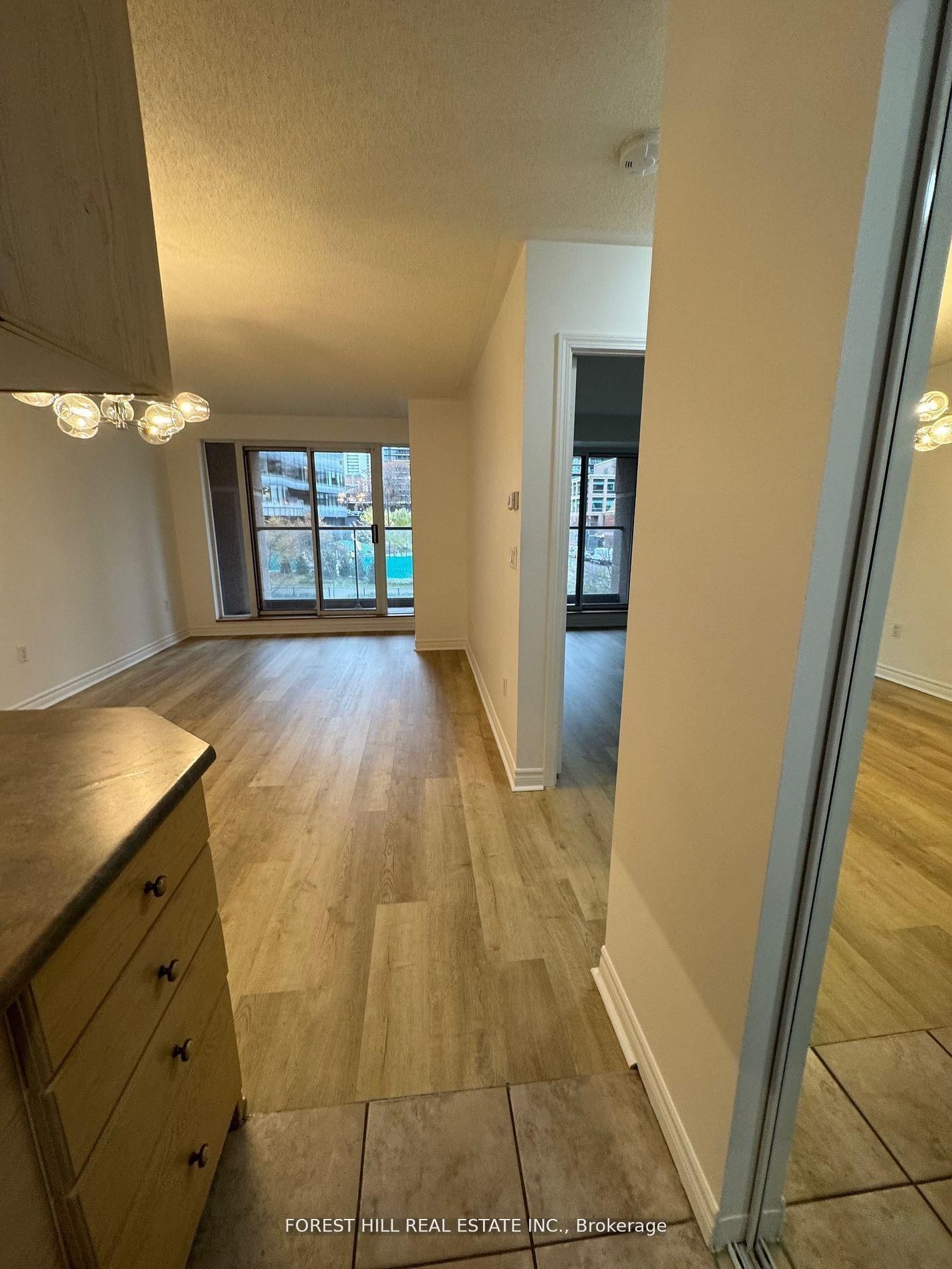 909 Bay Street, Unit 203 - Photo 12