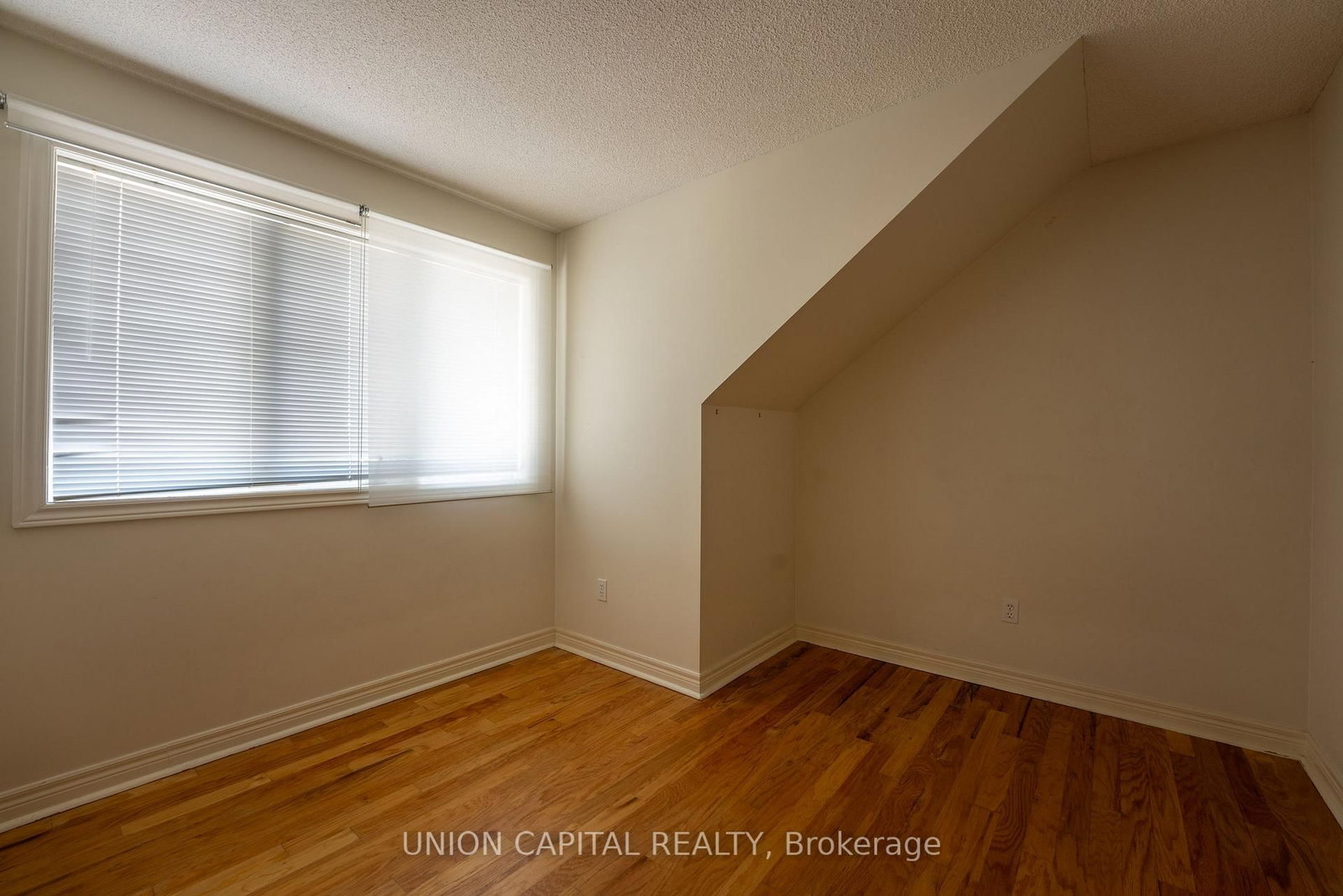 230 St. George Street, Unit 1 - Photo 14