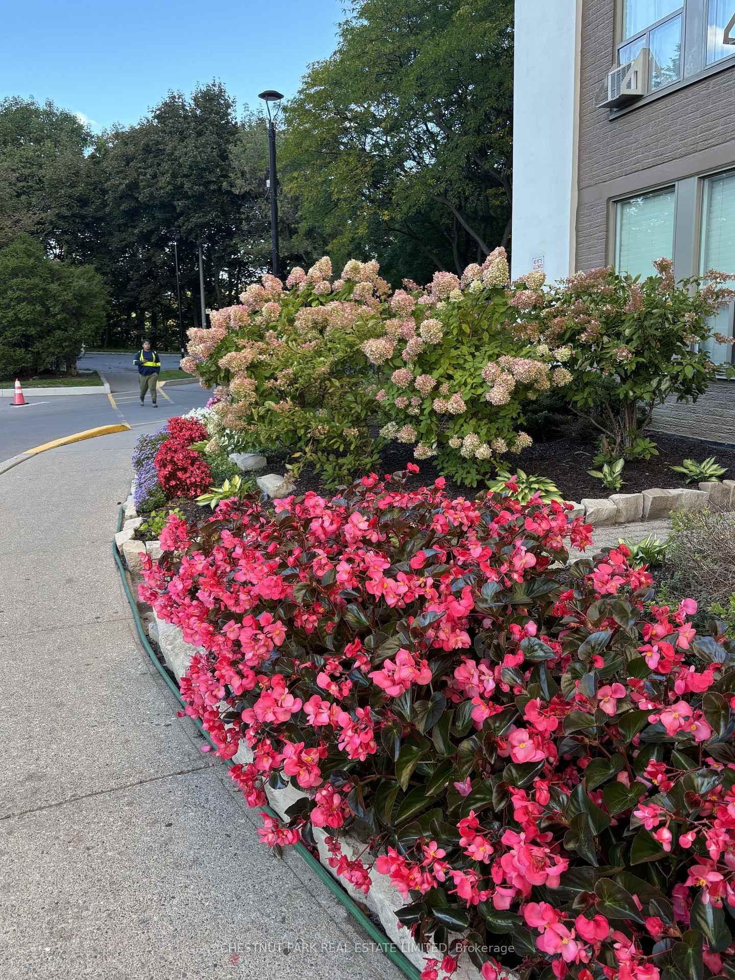 60 Pavane Linkway • #206 • Toronto, ON photo 39