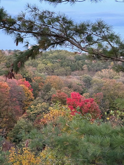 Thumbnail 44