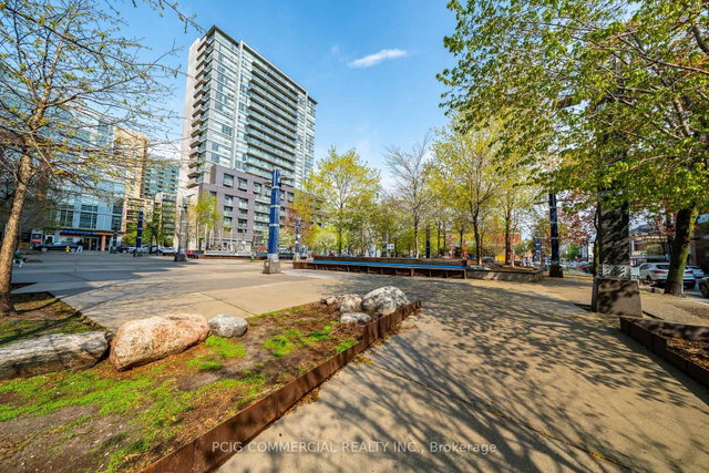 803W - 36 Lisgar Street