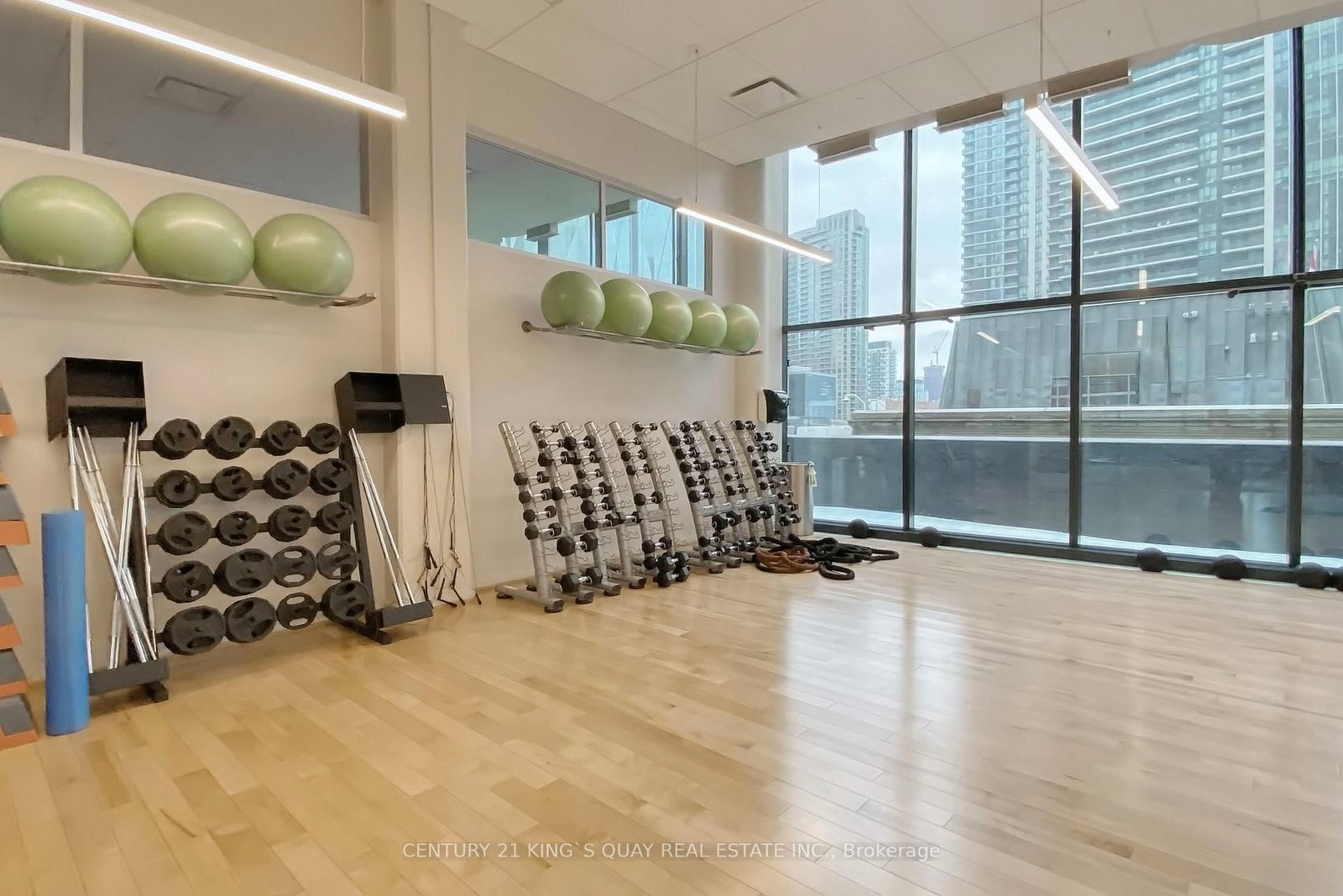 88 Harbour Street, Unit 4204 - Photo 45