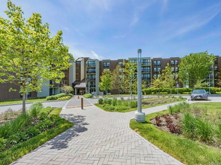 215 - 20 Fashion Roseway