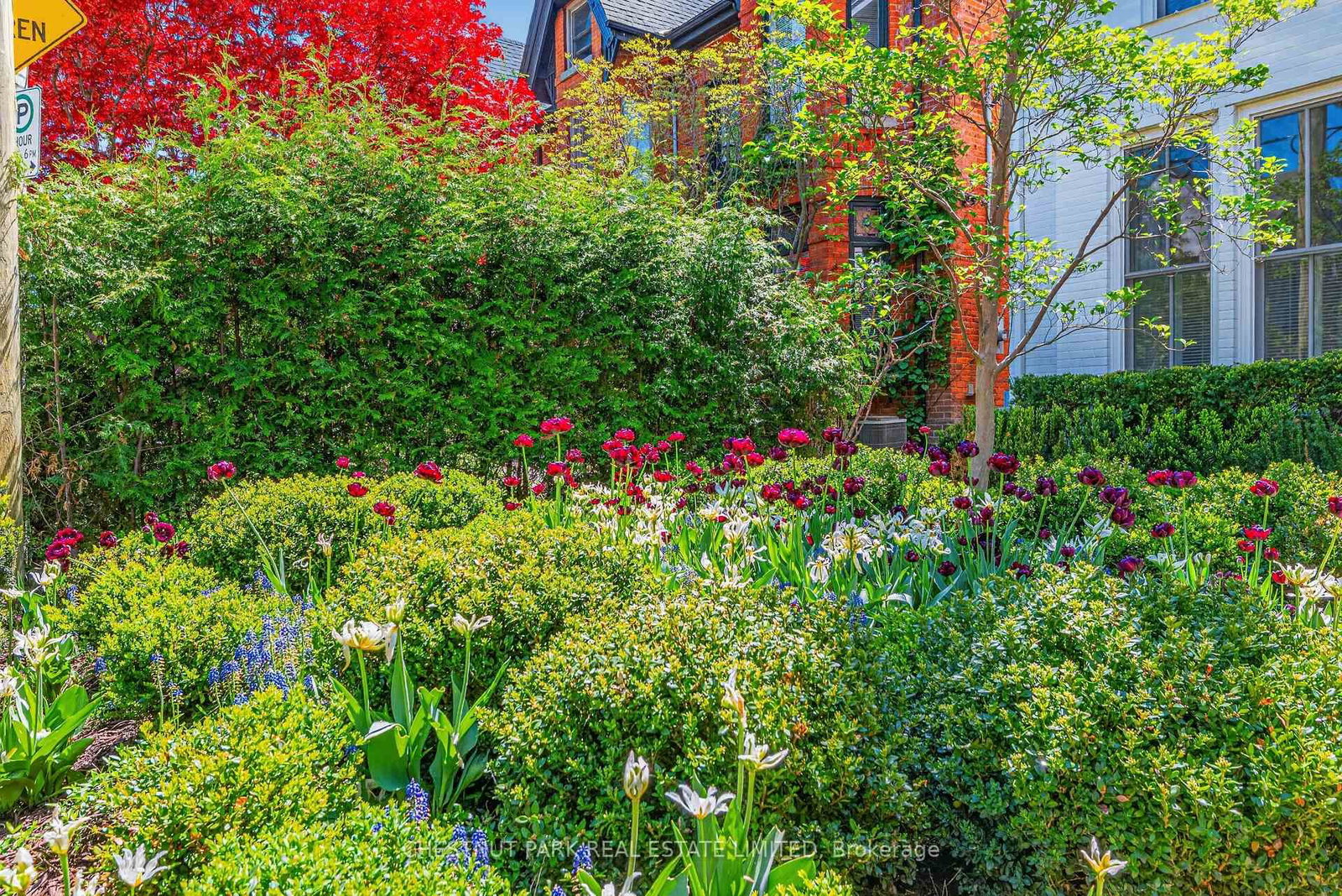 47 Walker Avenue • Toronto, ON photo 37