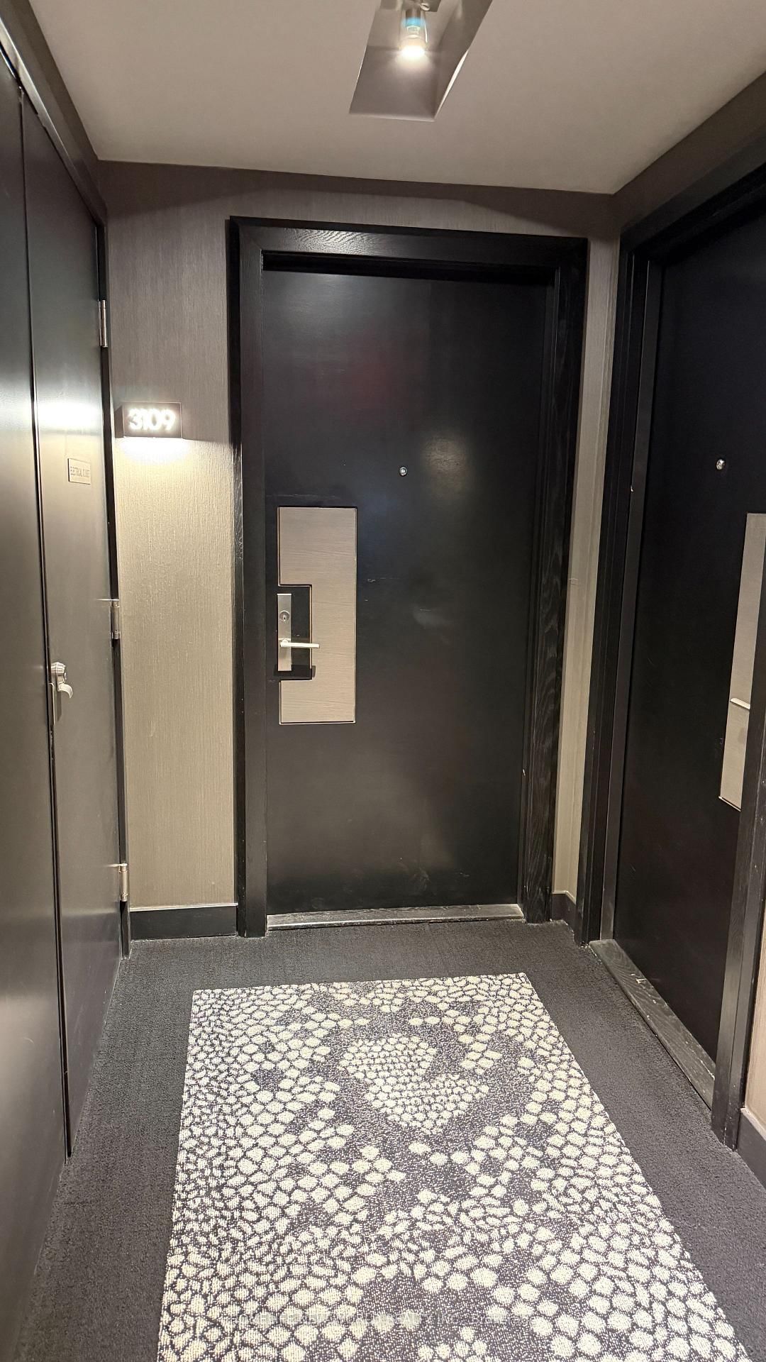65 St Mary Street, Unit 3109 - Photo 9