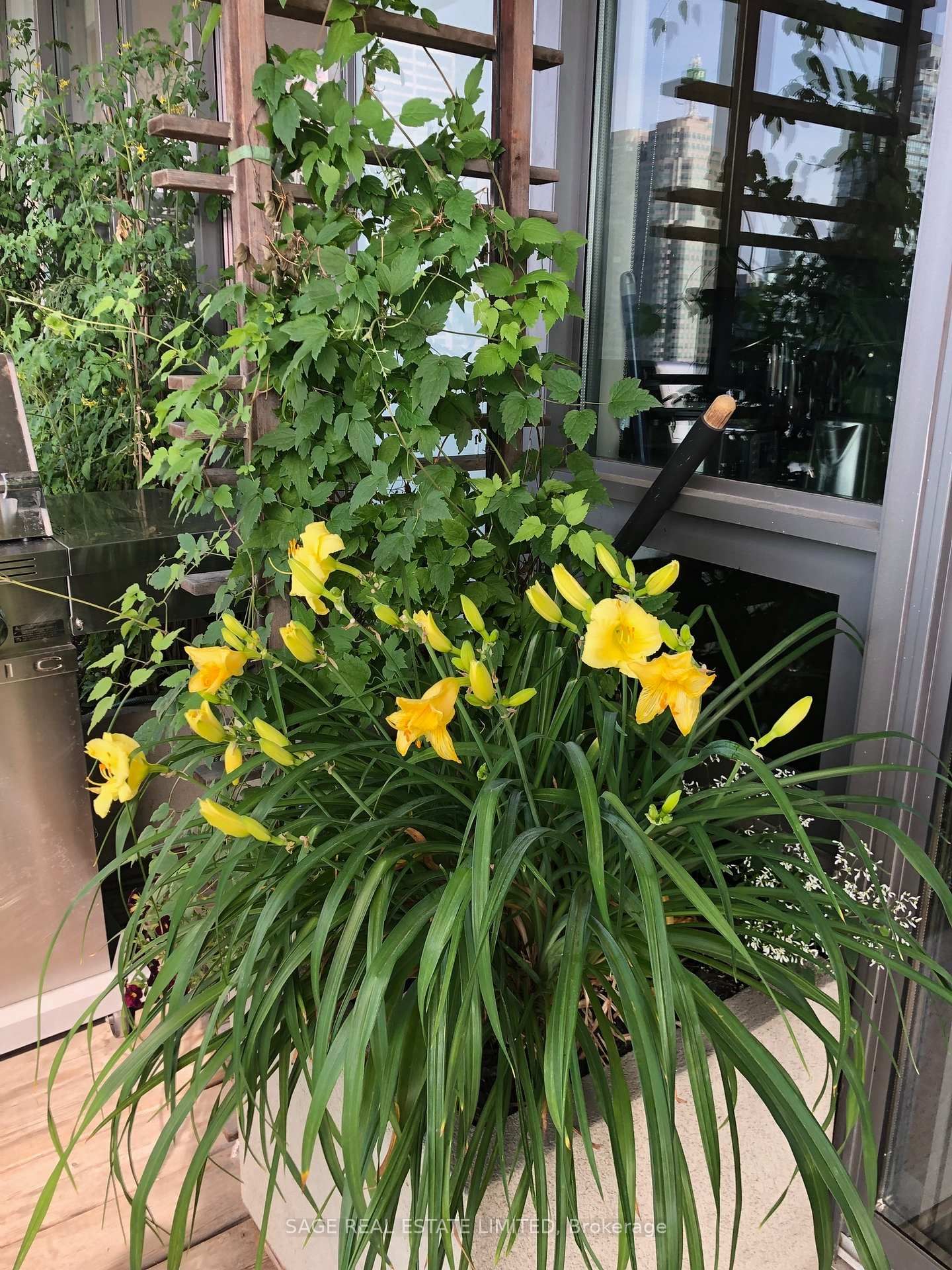 33 Lombard Street • #4004 • Toronto, ON photo 14