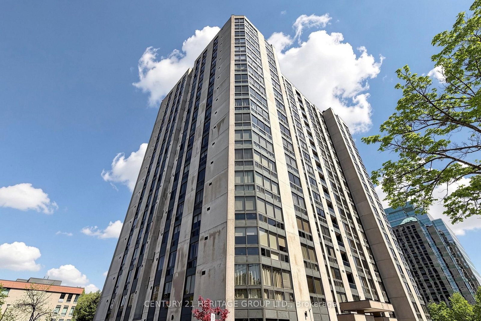 501-5 Kenneth Avenue, Toronto, ON, photo 3