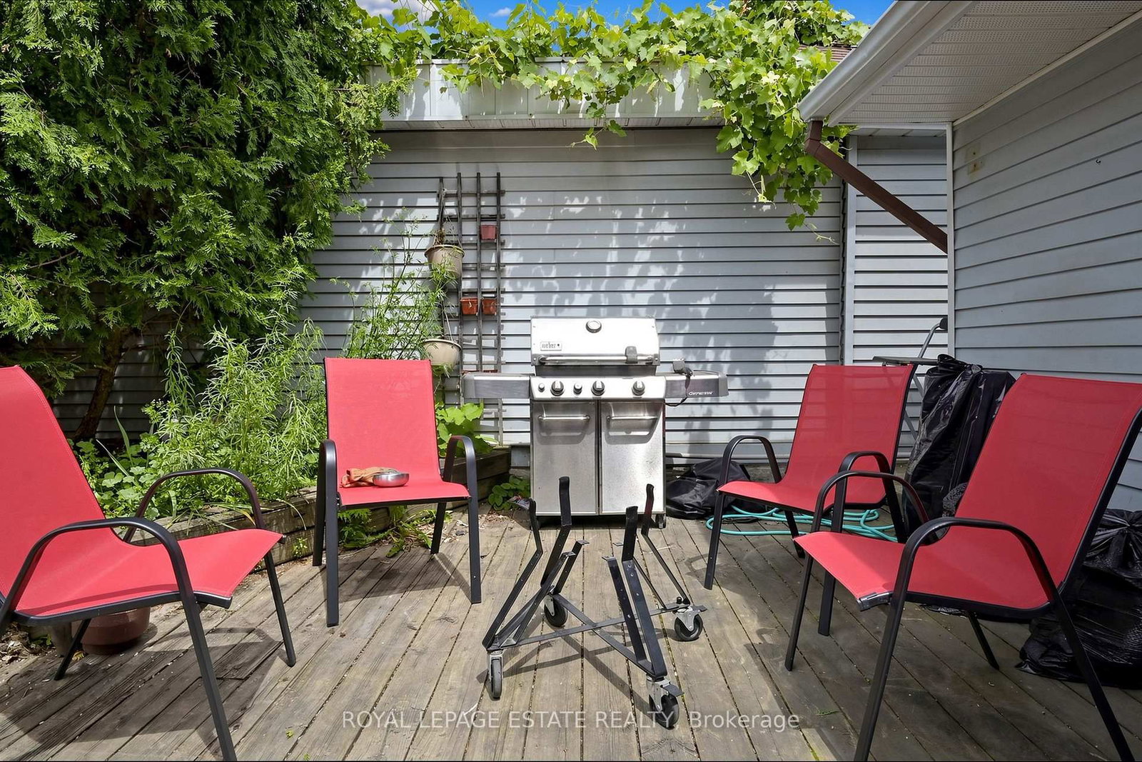 44 Mitchell Avenue • Toronto, ON photo 16