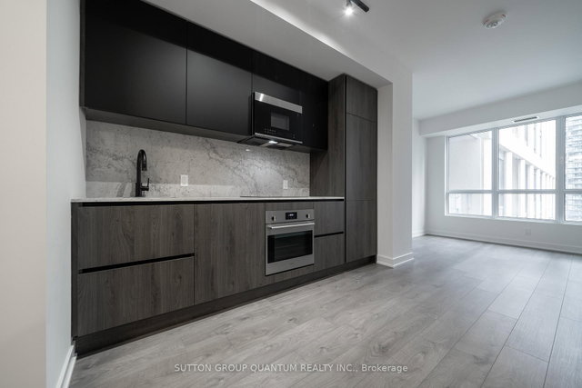 1611 - 108 Peter Street