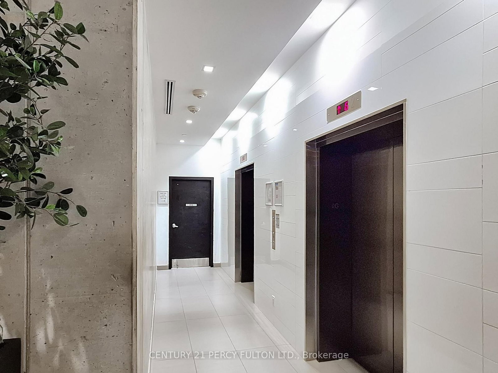 1707-11 Charlotte Street, Toronto, ON, photo 3