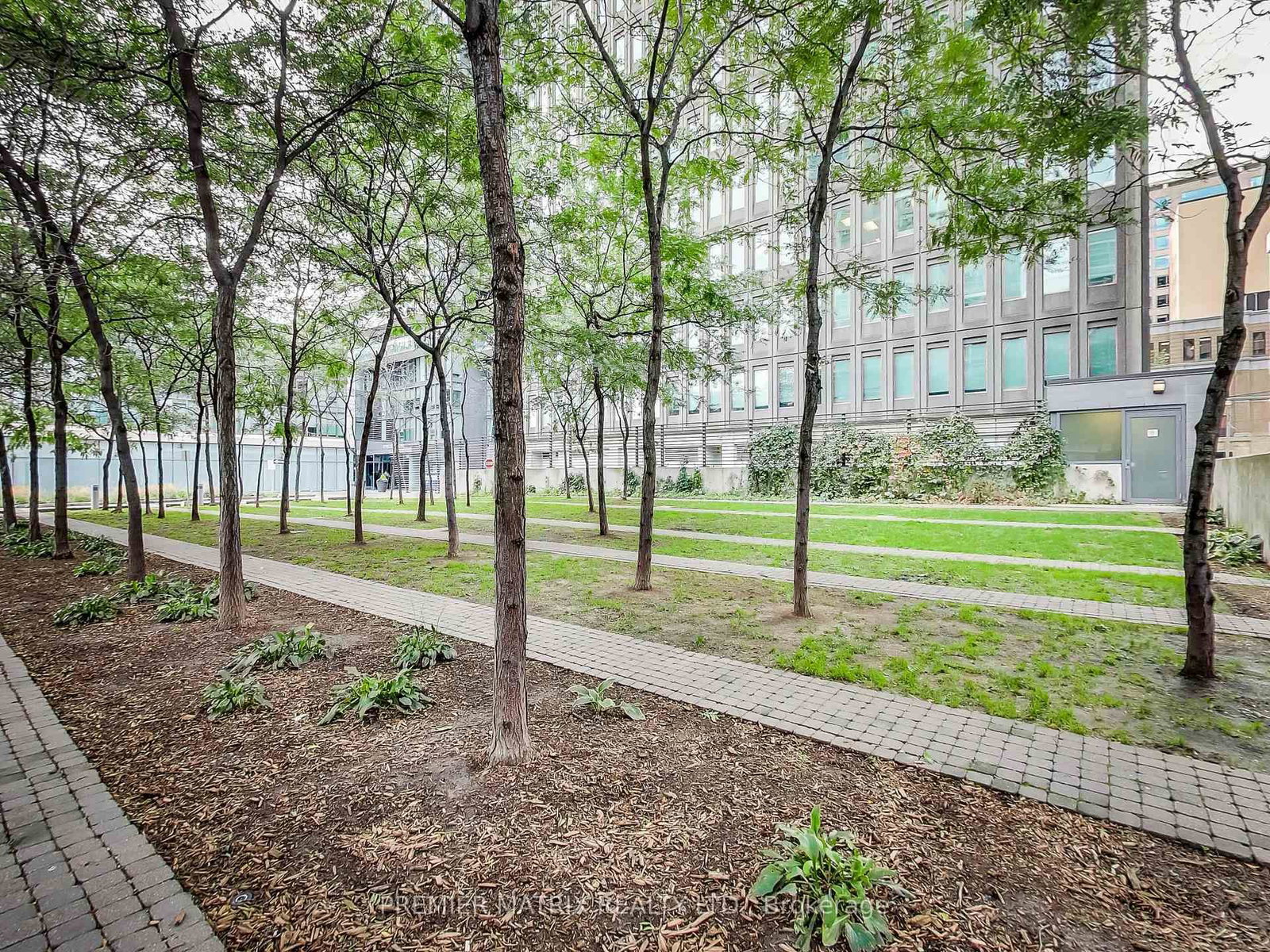 3804-33 Lombard Street, Toronto, ON, photo 5