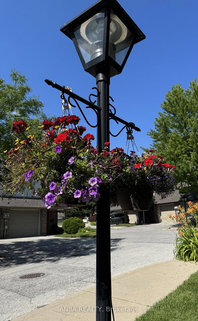 7 Purple Sageway