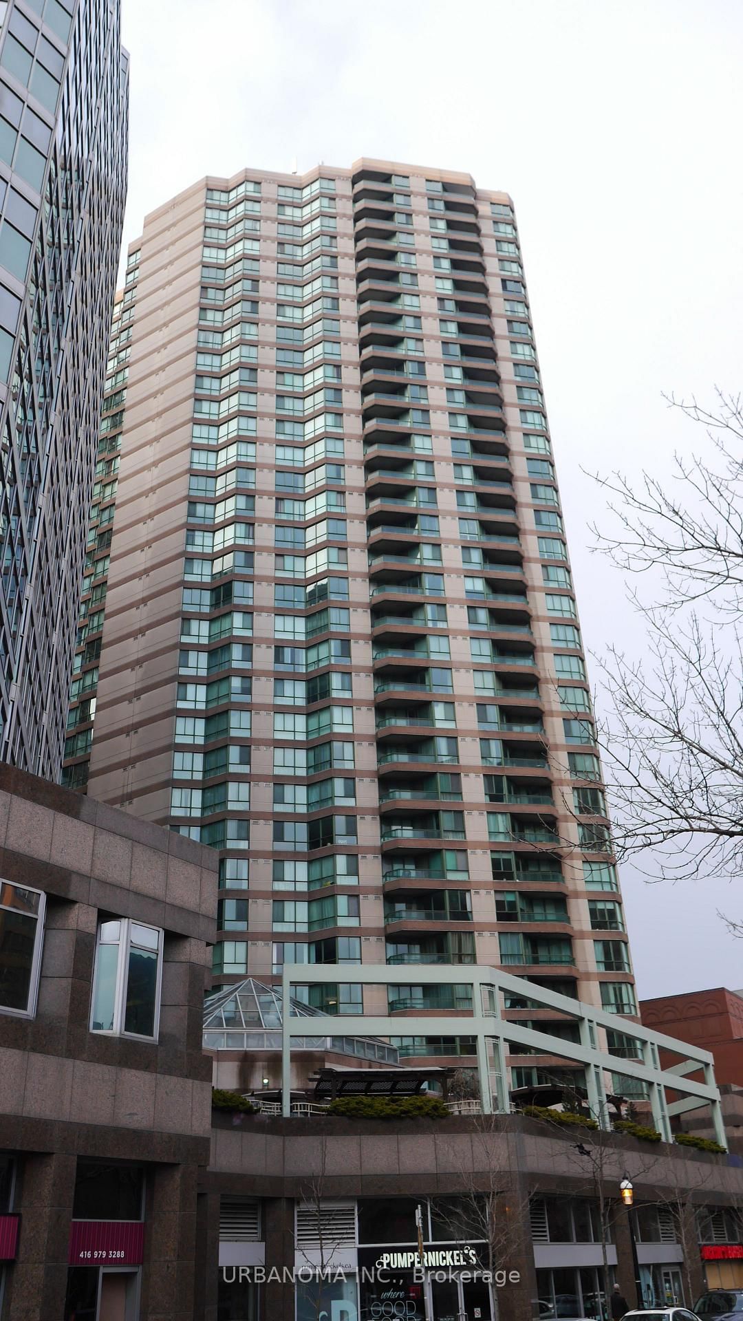 38 Elm Toronto,ON M5G 2K5 — Photo 34