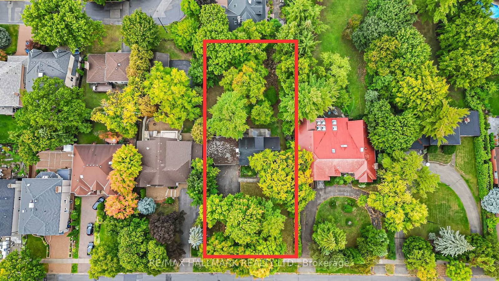 344 Spring Garden Avenue, Toronto, ON, photo 2