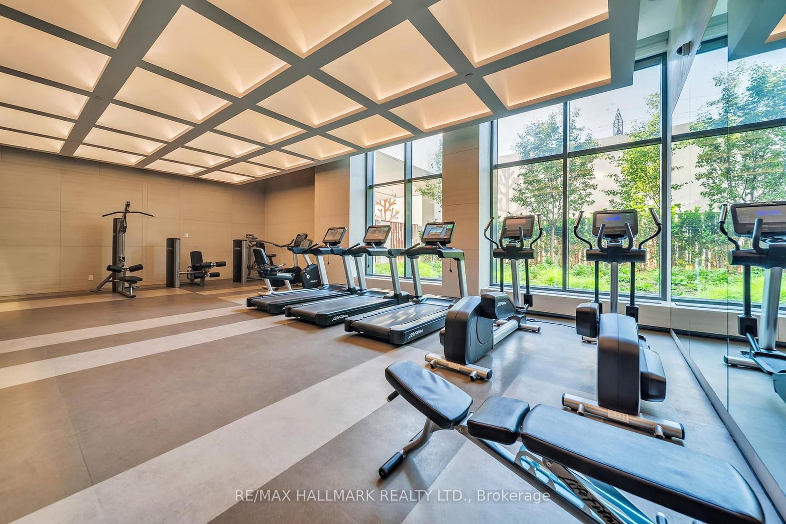 The gym