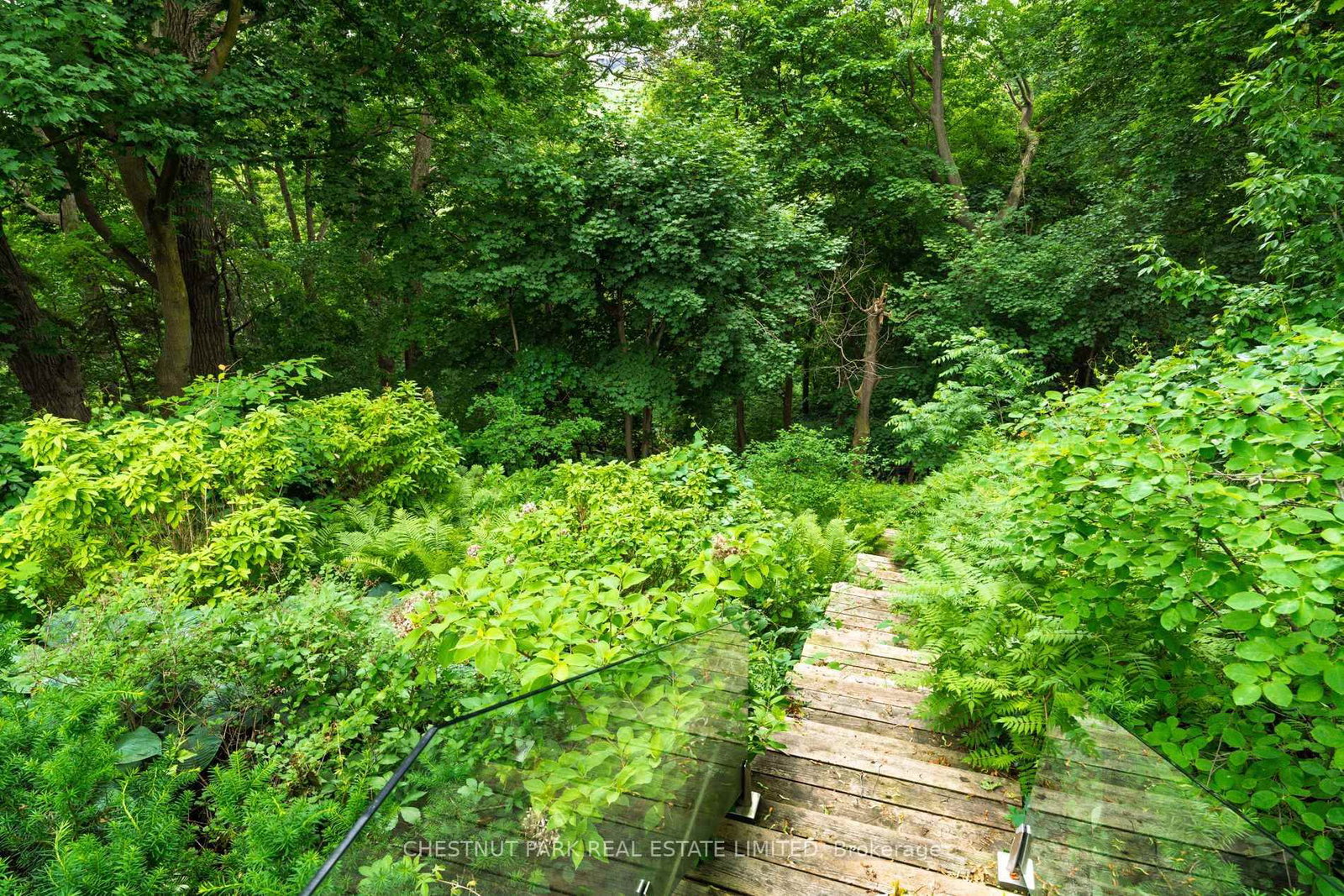 83 Binscarth Road • Toronto, ON photo 50