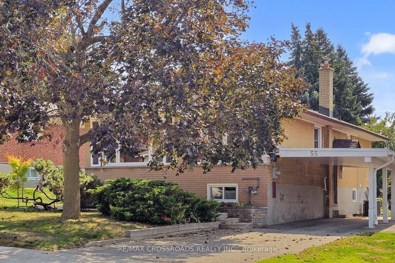 55 Elvaston Drive
