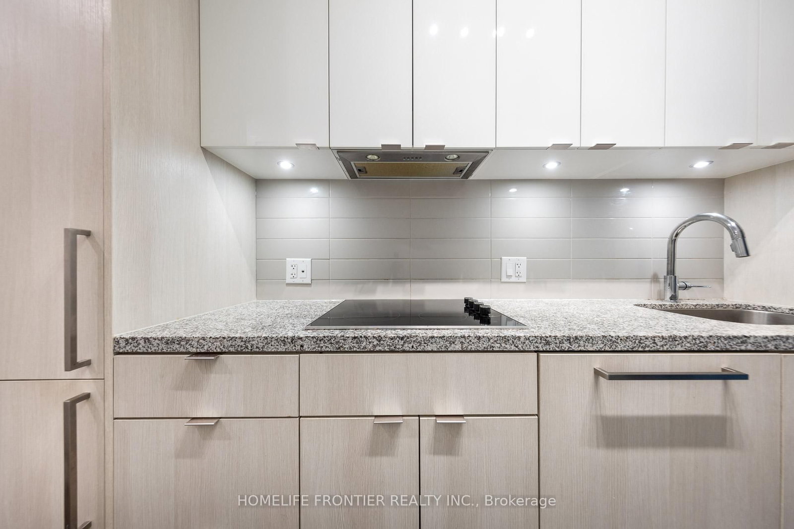 115 Blue Jays Way • #705 • Toronto, ON photo 8